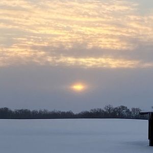 Meet your Posher, Robin